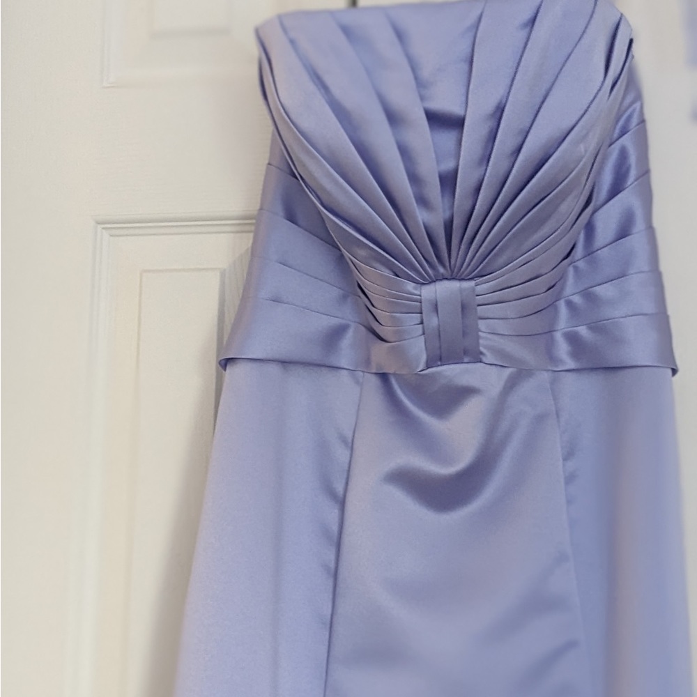 NWT Formal Strapless Dress